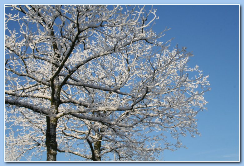 Arnhem Snow 167